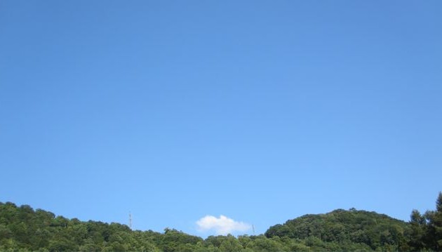 IMG_5357