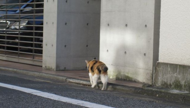 IMG_1622