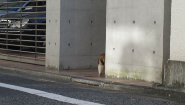 IMG_1623