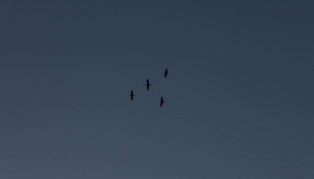 IMG_8941