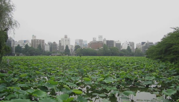IMG_0792_2