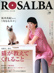 97_img_1_b 97_img_1_b