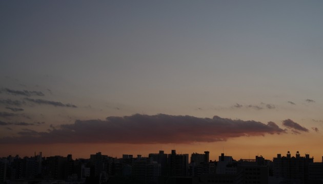 R0011636